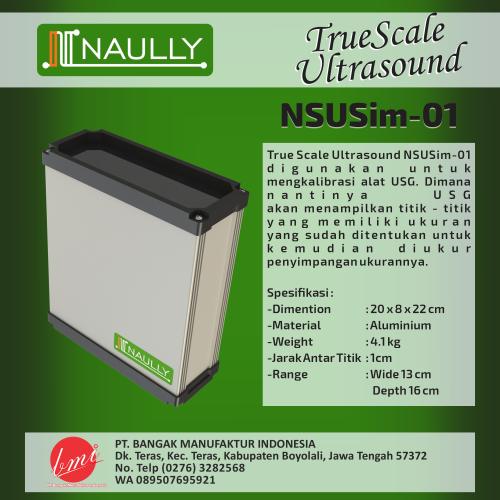 True Scale Ultrasound NSUSim-01
