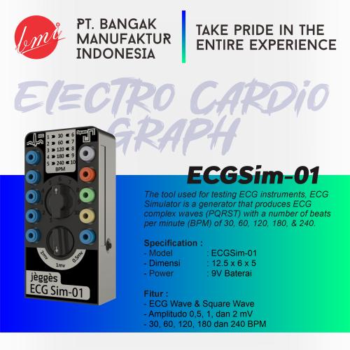 ECG Simulator JEGGES ECGSim-01